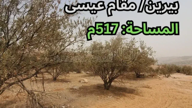أرض - بيرين/ مقام عيسى - قرب طريق مقام عيسى أم رمانة - 35000 دأ
