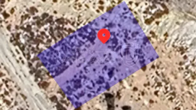 أرض - بيرين أم رمانة تبعد عن شفابدران 5 كم تقريباً  - 33000 دأ
