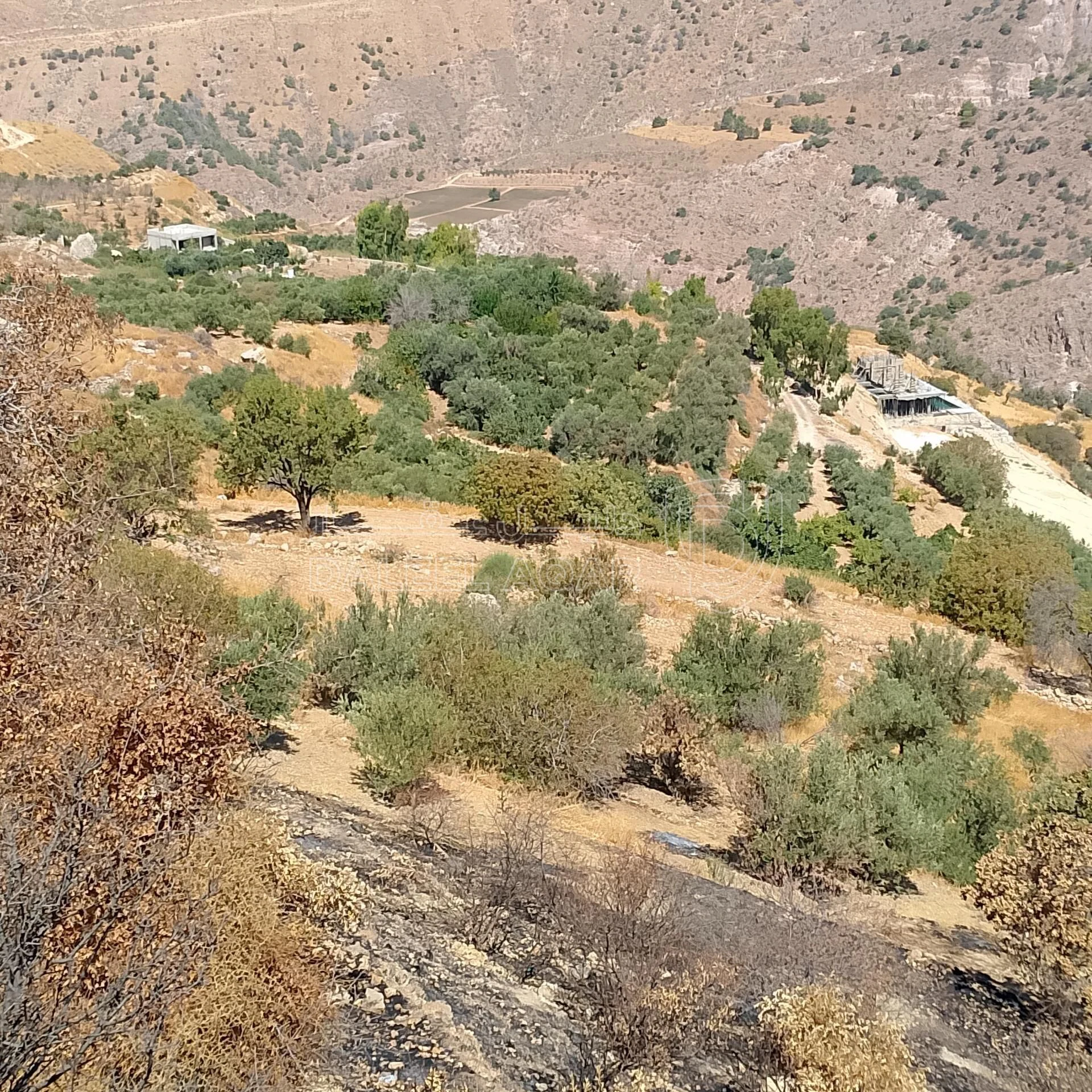 أرض في ناعور ..حوض عين المرج 18..رقم القطعة 73 - 33,000 دأ - صورة 5