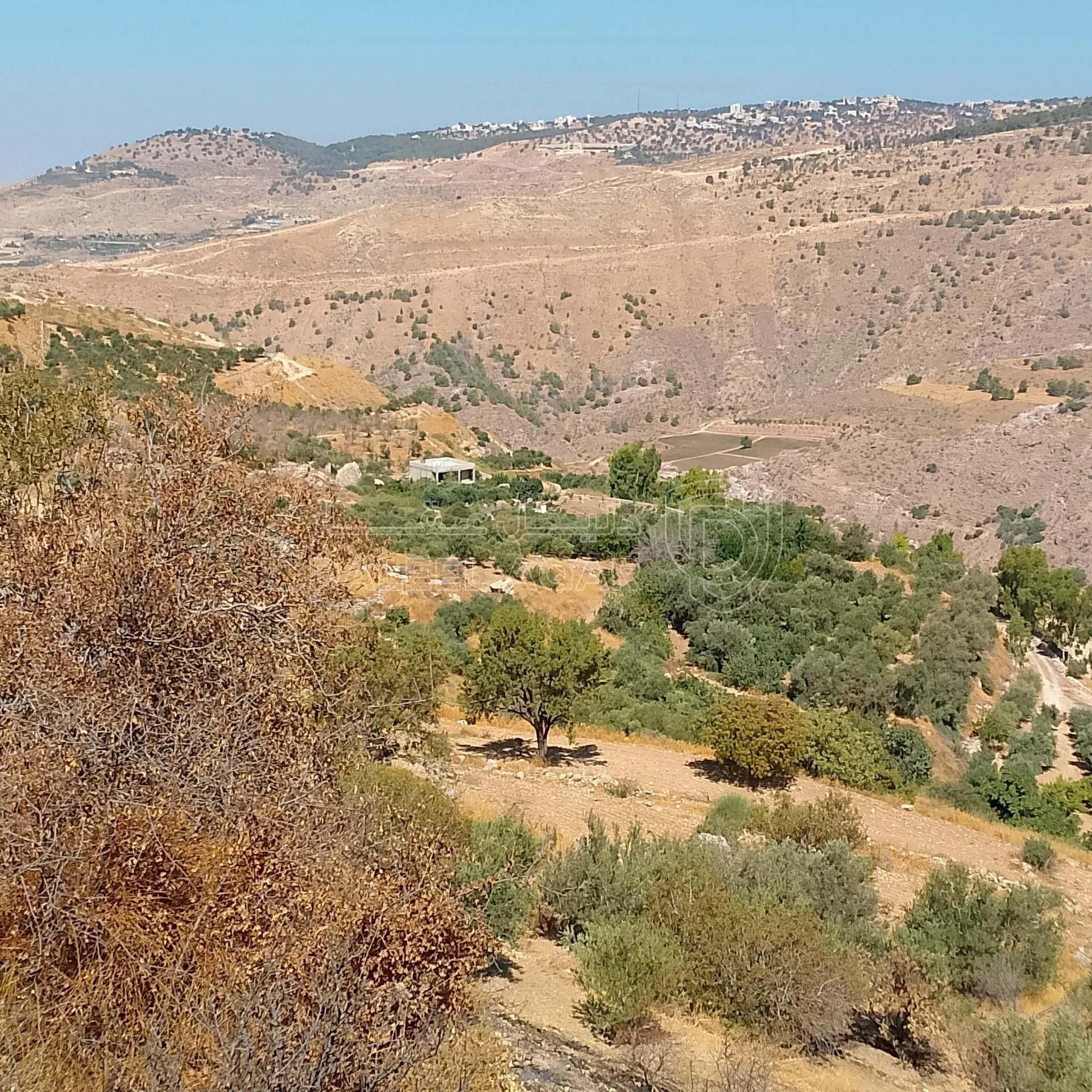 أرض في ناعور ..حوض عين المرج 18..رقم القطعة 73 - 33,000 دأ - صورة 4