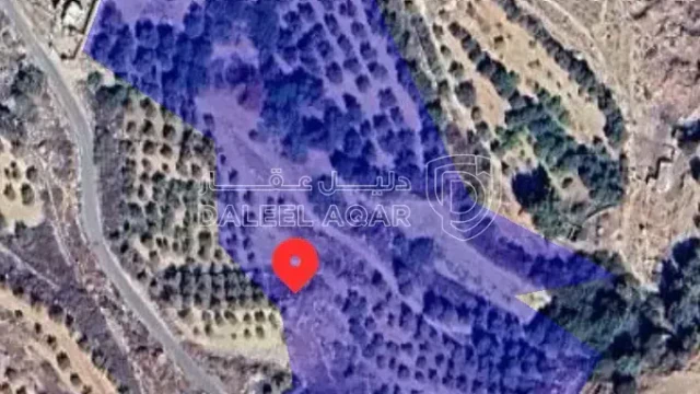 أرض - ناعور ..حوض عين المرج 18..رقم القطعة 73 - 33000 دأ