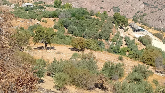 أرض في ناعور ..حوض عين المرج 18..رقم القطعة 73 - 33,000 دأ - صورة NaN