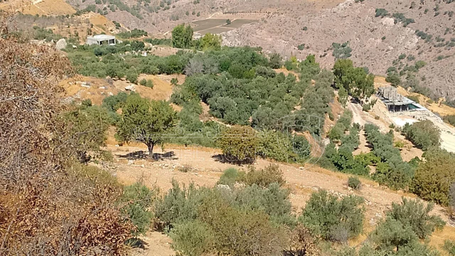 أرض في ناعور ..حوض عين المرج 18..رقم القطعة 73 - 33,000 دأ - صورة NaN