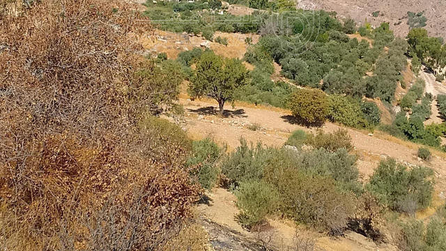أرض في ناعور ..حوض عين المرج 18..رقم القطعة 73 - 33,000 دأ - صورة NaN