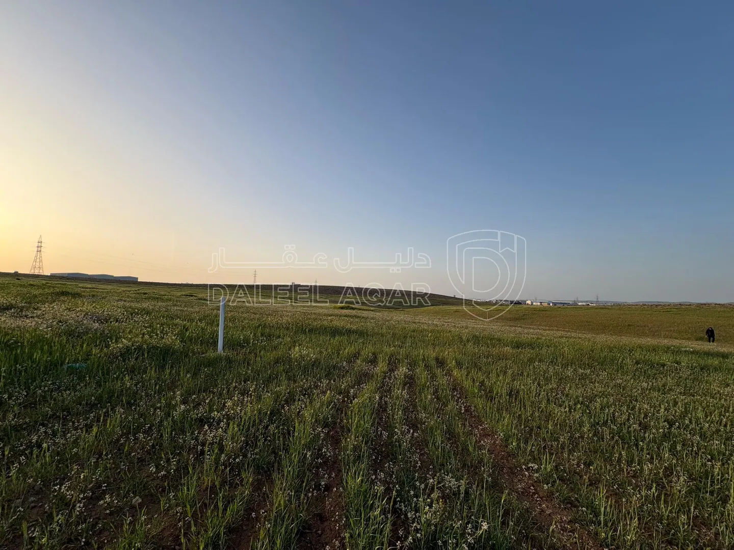 أرض في اربد الرمثا بالقرب من مدينة الحسن الصناعية - 25,000 دأ - صورة 1