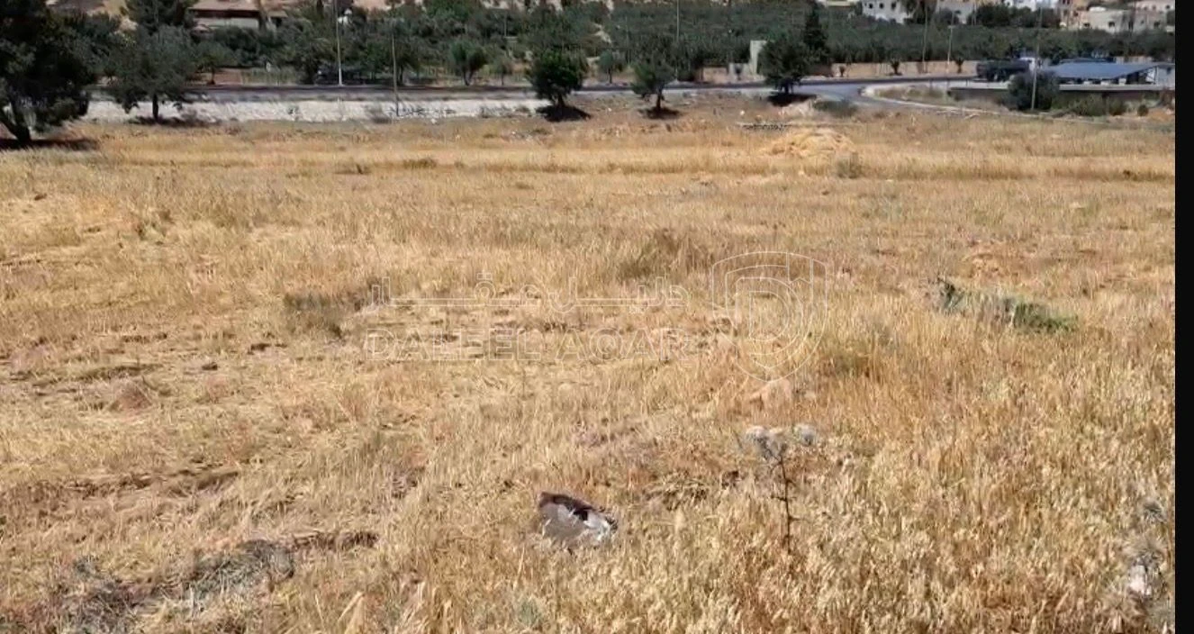 أرض في عمان - ناعور - الشارع الموازي للشارع الرئيسي - 110,000 دأ - صورة 1