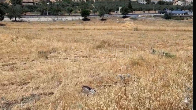 أرض في عمان - ناعور - الشارع الموازي للشارع الرئيسي - 110,000 دأ - صورة NaN