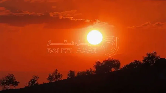 أرض - اراضي غرب عمان ضواحي بدر الجديدة - 143000 دأ