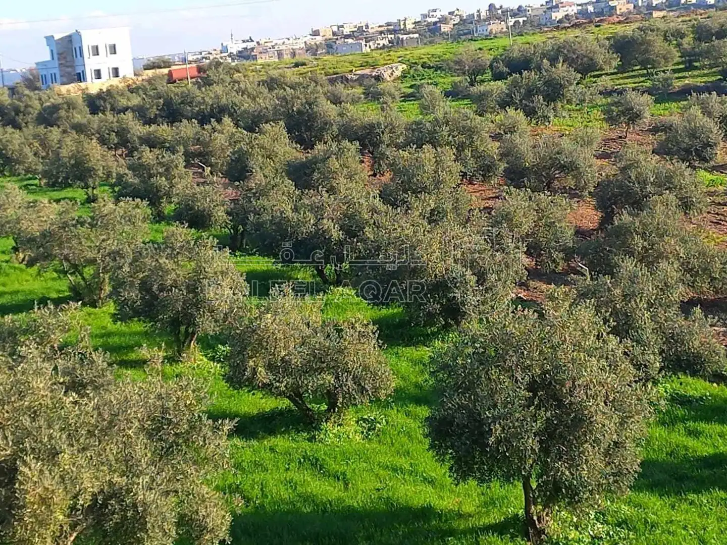 أرض في على شارع الستين على قرية الدوقرا - 160,000 دأ - صورة 1