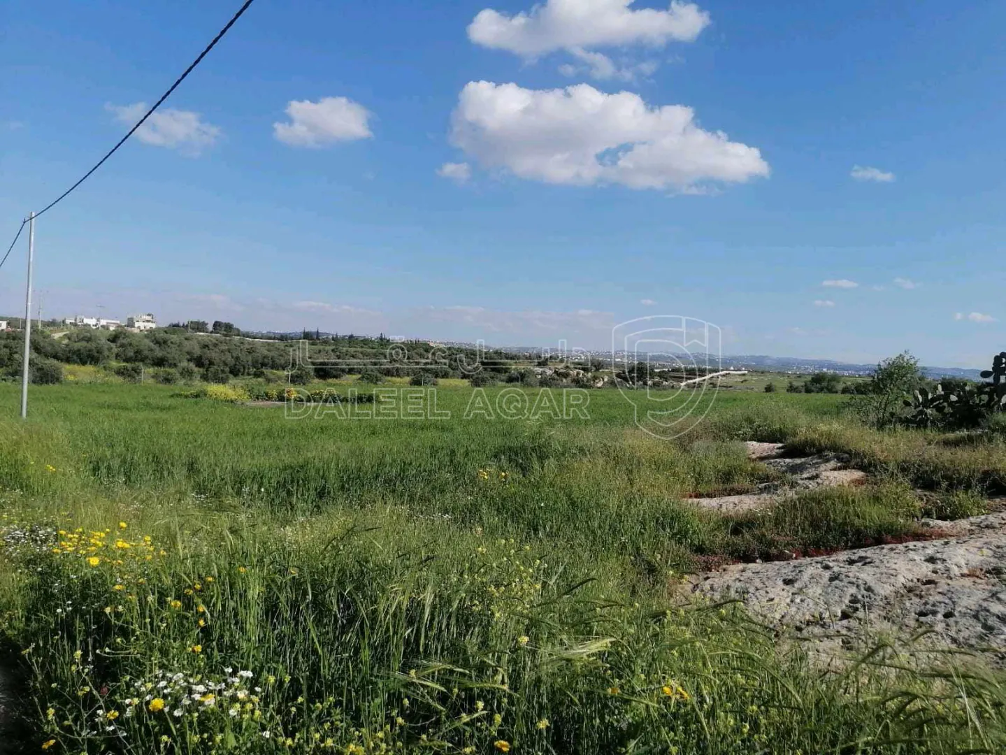 أرض في على شارع الستين على قرية الدوقرا - 160,000 دأ - صورة 1