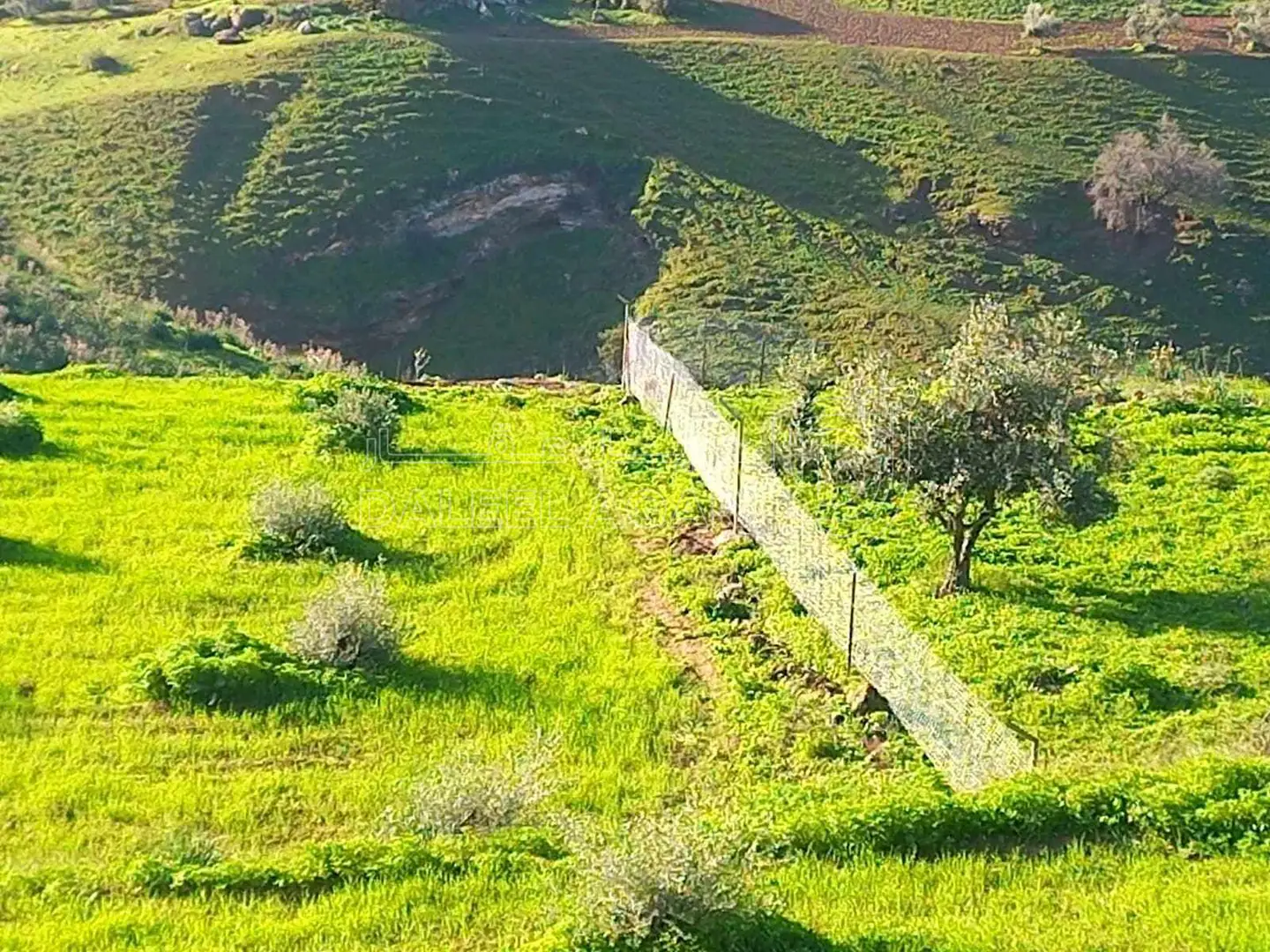 أرض في على شارع الستين على قرية الدوقرا - 160,000 دأ - صورة 1