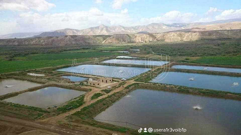 أرض في الغور دير علا  - 340,000 دأ - صورة 1
