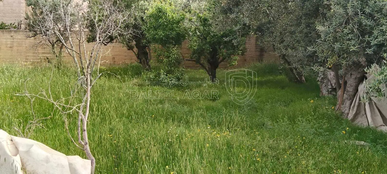 أرض في عمان جيل الزهور  - 110,000 دأ - صورة 1