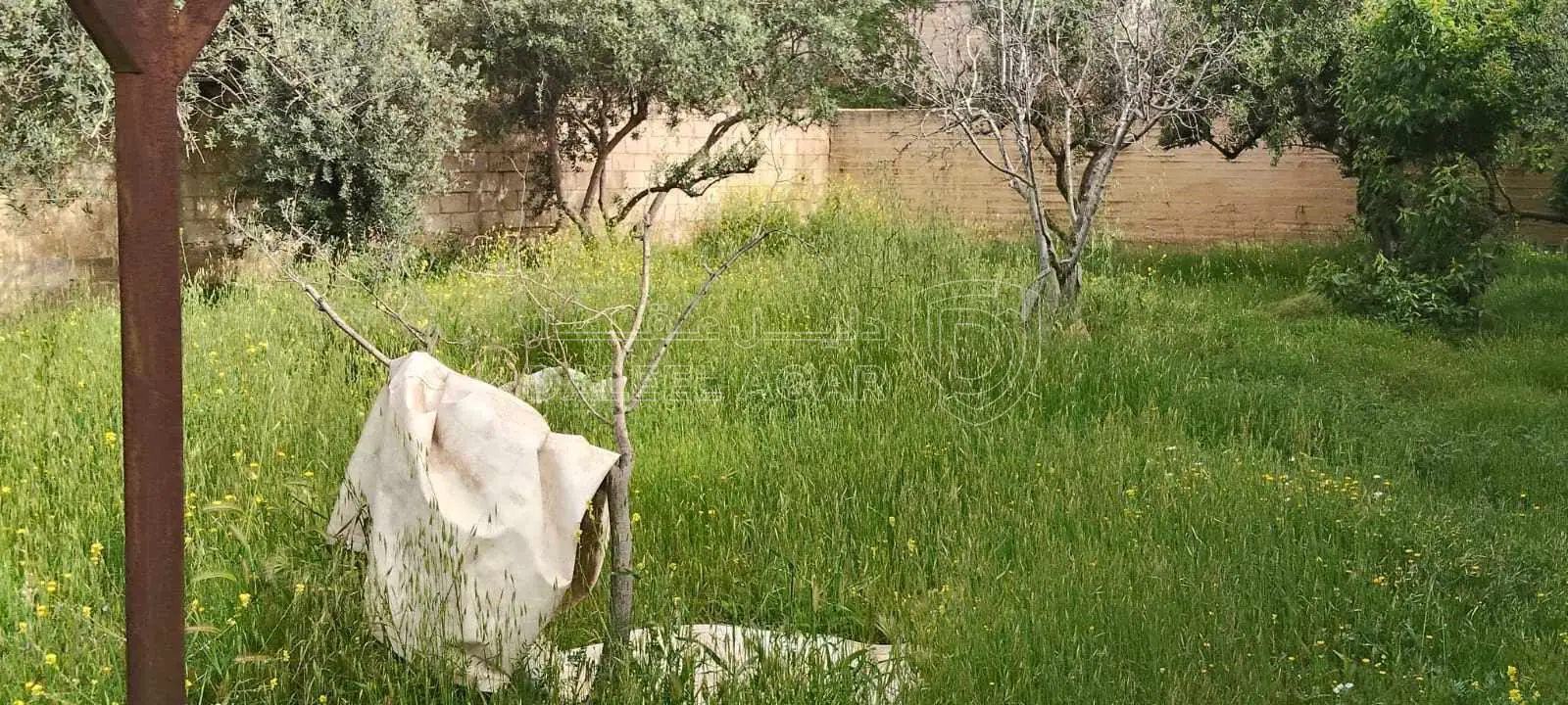 أرض في عمان جيل الزهور  - 110,000 دأ - صورة 1