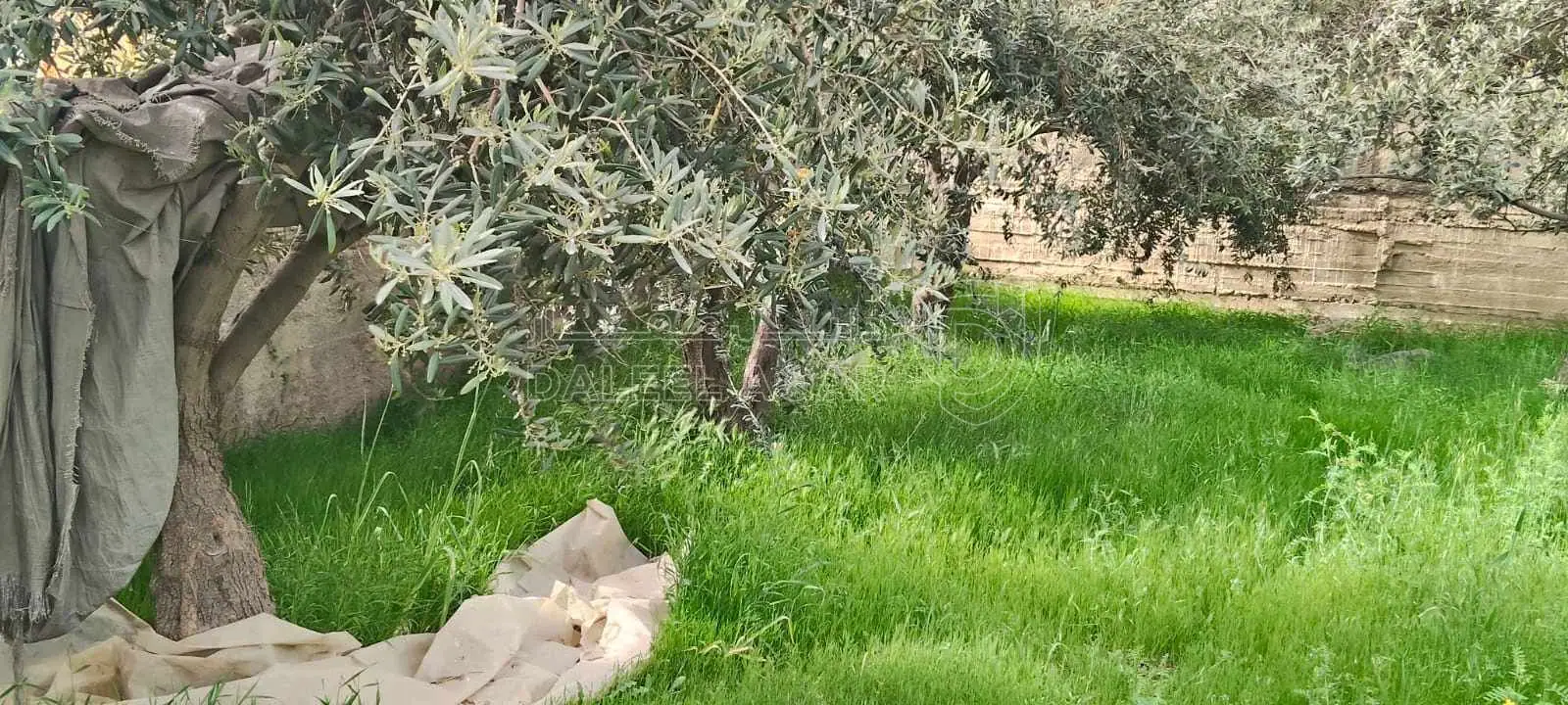 أرض في عمان جيل الزهور  - 110,000 دأ - صورة 1