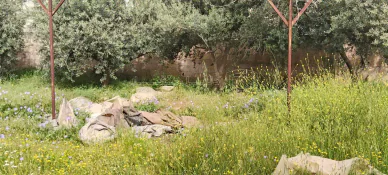 أرض في عمان جيل الزهور  - 110,000 دأ - صورة NaN