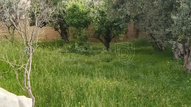 أرض - عمان جيل الزهور  - 110000 دأ