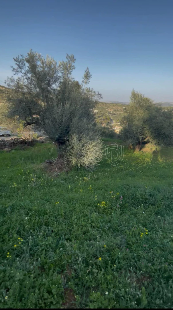 أرض في السلط إم جوزه قرب منتزه زي  - 32,000 دأ - صورة 1