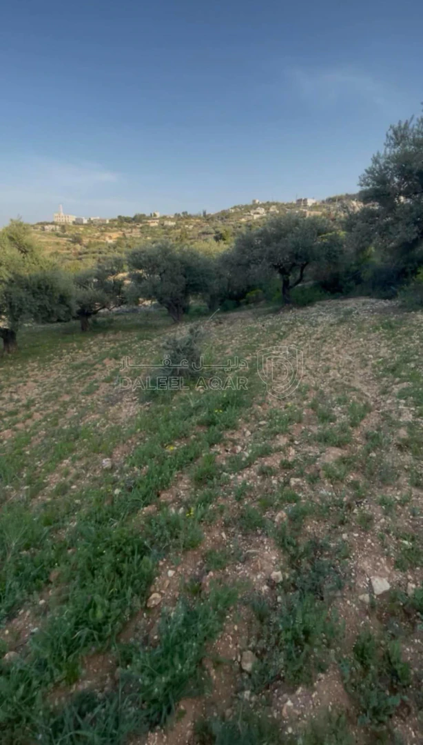 أرض في السلط إم جوزه قرب منتزه زي  - 32,000 دأ - صورة 1