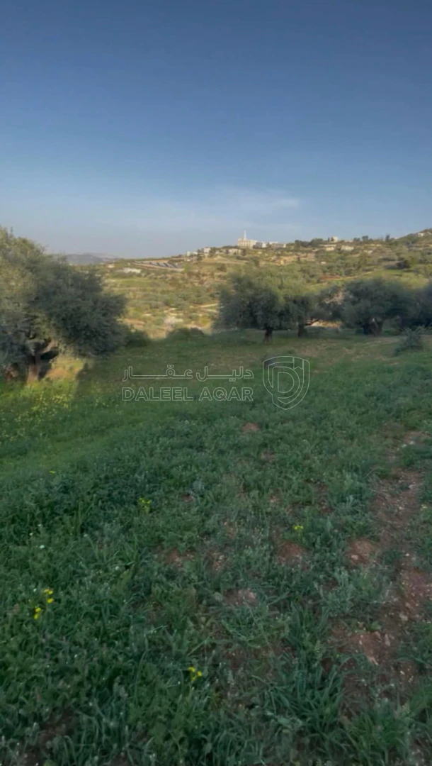 أرض في السلط إم جوزه قرب منتزه زي  - 32,000 دأ - صورة 1