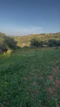 أرض في السلط إم جوزه قرب منتزه زي  - 32,000 دأ - صورة NaN