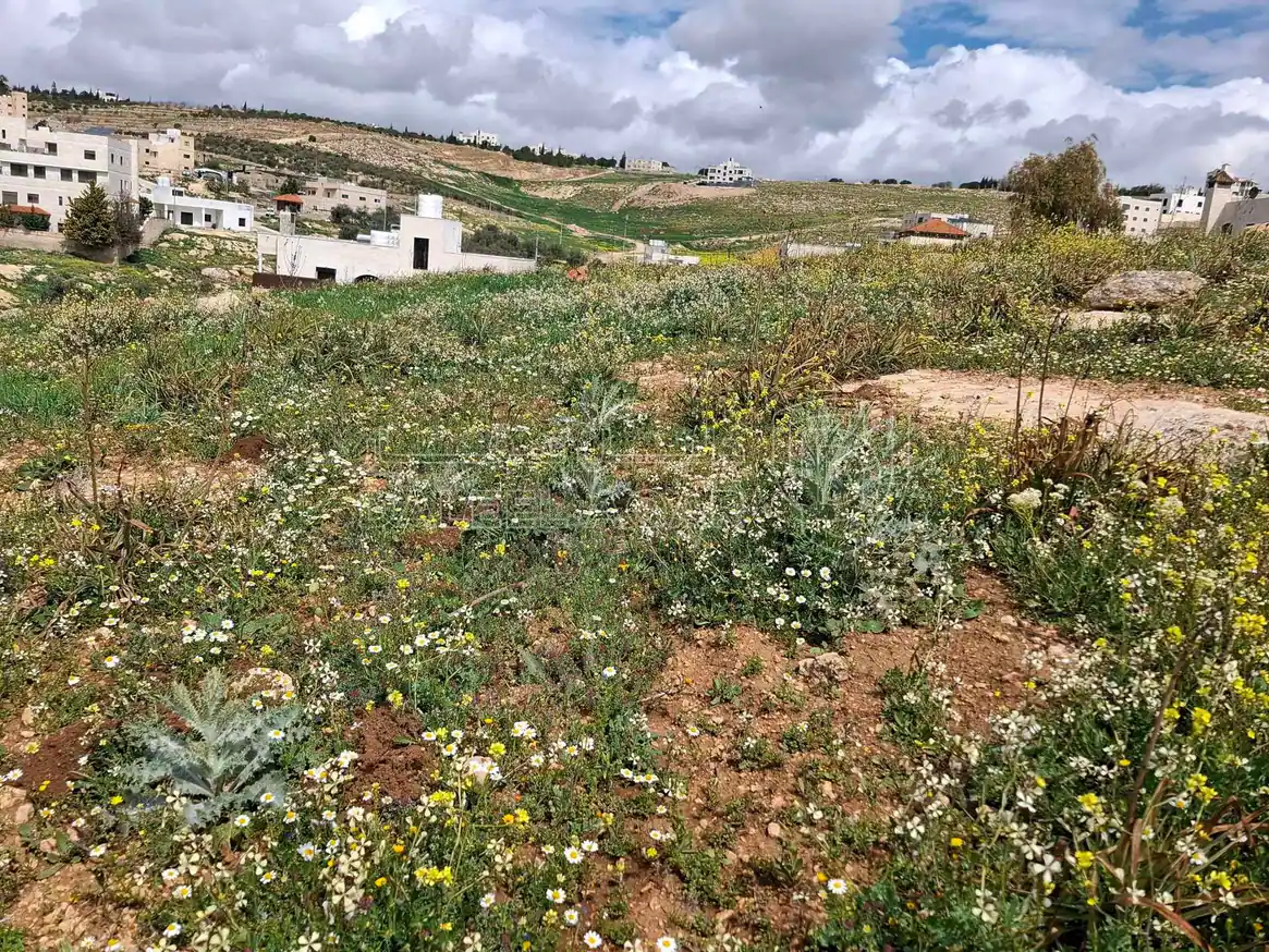 أرض في شفا بدران ..قرب دوار الترخيص - 123,000 دأ - صورة 1