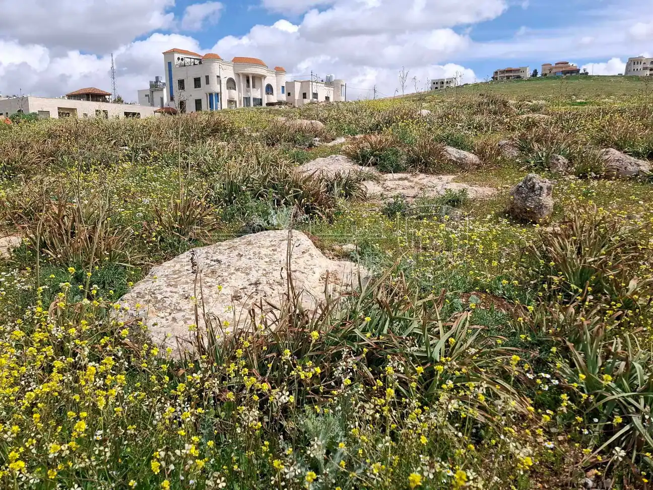 أرض في شفا بدران ..قرب دوار الترخيص - 123,000 دأ - صورة 1