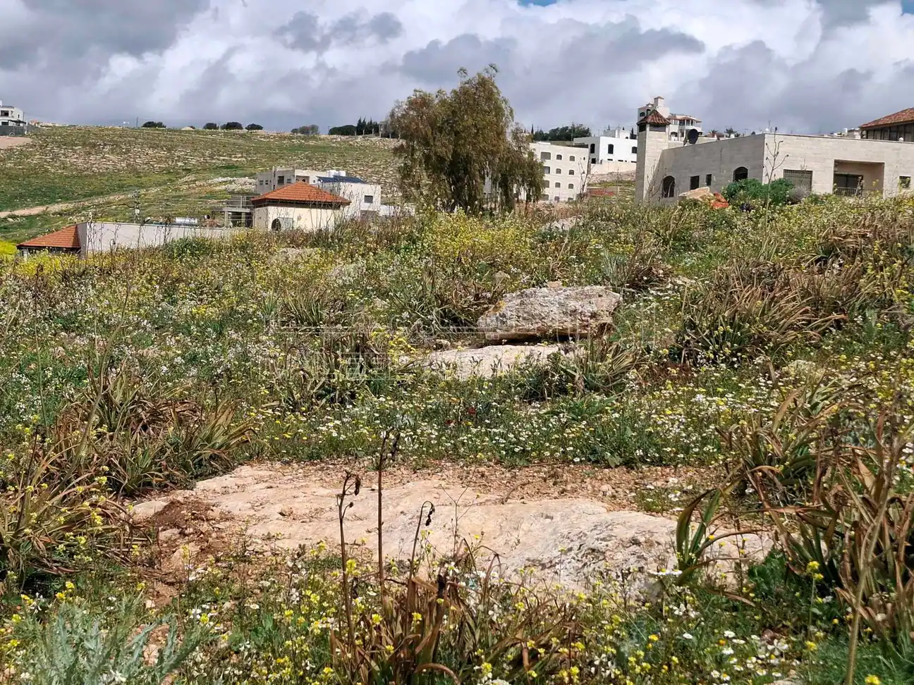 أرض في شفا بدران ..قرب دوار الترخيص - 123,000 دأ - صورة 1