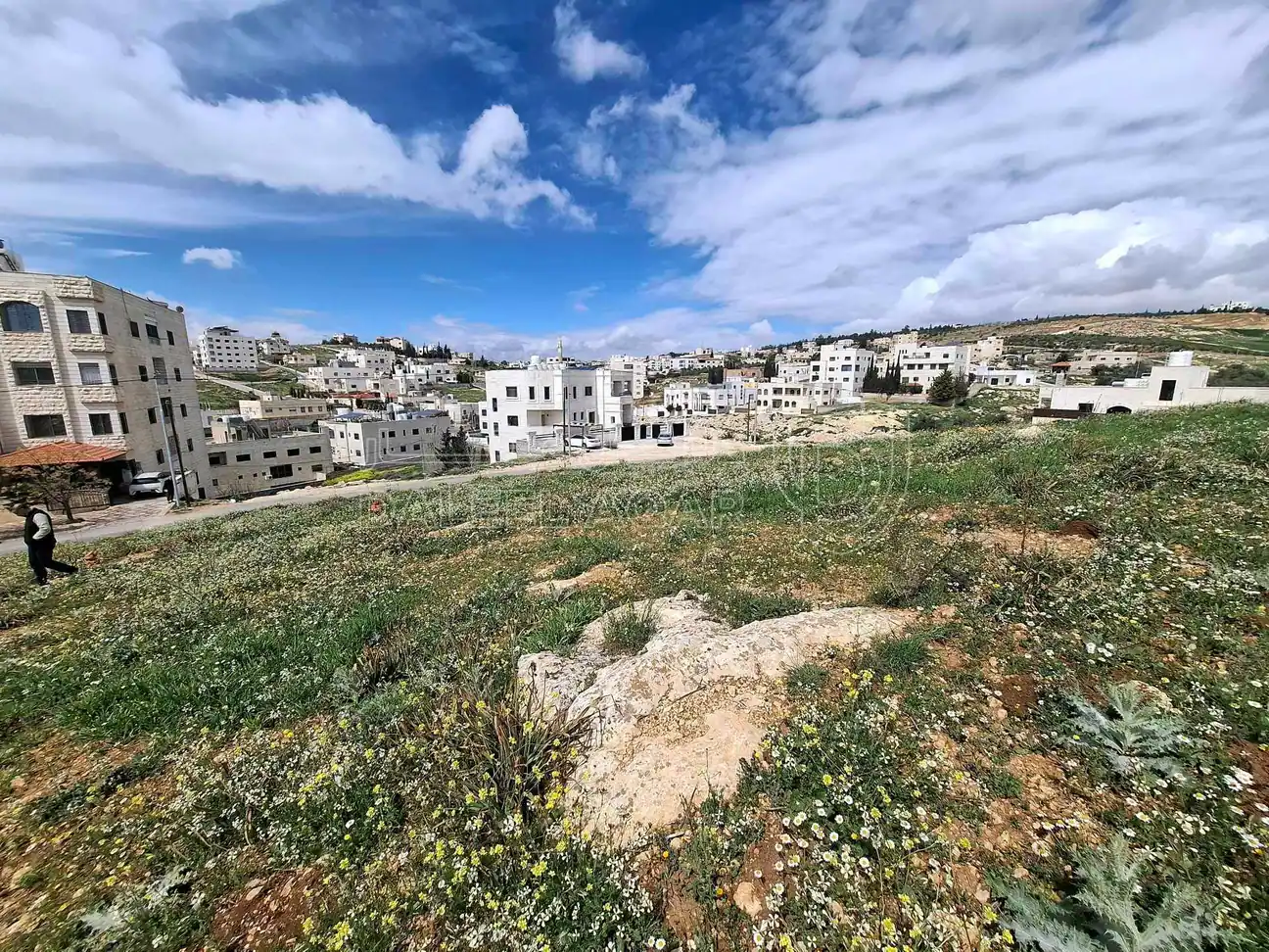 أرض في شفا بدران ..قرب دوار الترخيص - 123,000 دأ - صورة 1