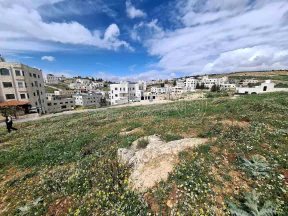 أرض في شفا بدران ..قرب دوار الترخيص - 123,000 دأ - صورة NaN