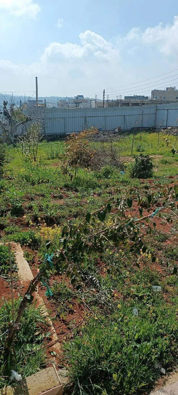 أرض في ناعور/ العامرية - قرب مسجد الريان - 120,000 دأ - صورة 6