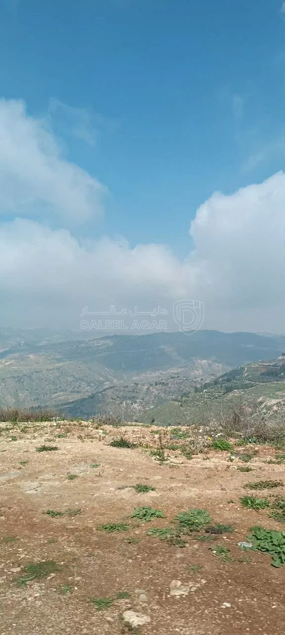 أرض في ناعور/ العامرية - قرب مسجد الريان - 120,000 دأ - صورة 7