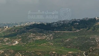 أرض في ناعور/ العامرية - قرب مسجد الريان - 120,000 دأ - صورة NaN