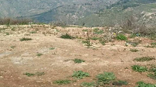 أرض في ناعور/ العامرية - قرب مسجد الريان - 120,000 دأ - صورة NaN