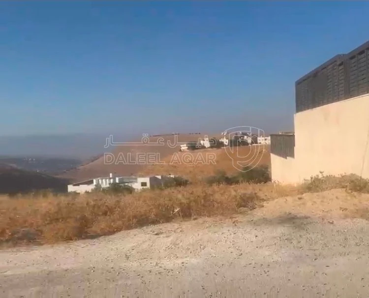 أرض في ارض مميزة جدا في السرو لبناء فيلا العمر - 165,000 دأ - صورة 2