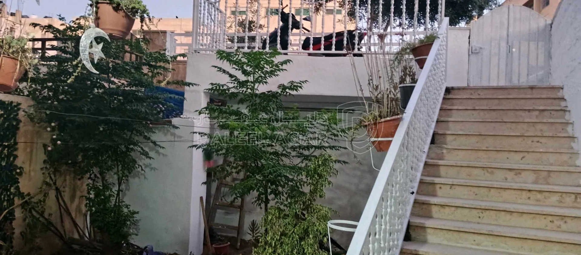 شقة في الزرقاء الجديده حي البتراوي  - 37,000 دأ - صورة 2