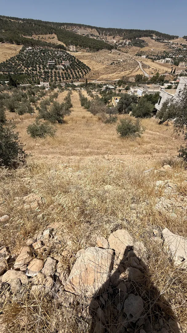 أرض في قطعة ارض مطلة قوشان مستقل - 25,000 دأ - صورة 3