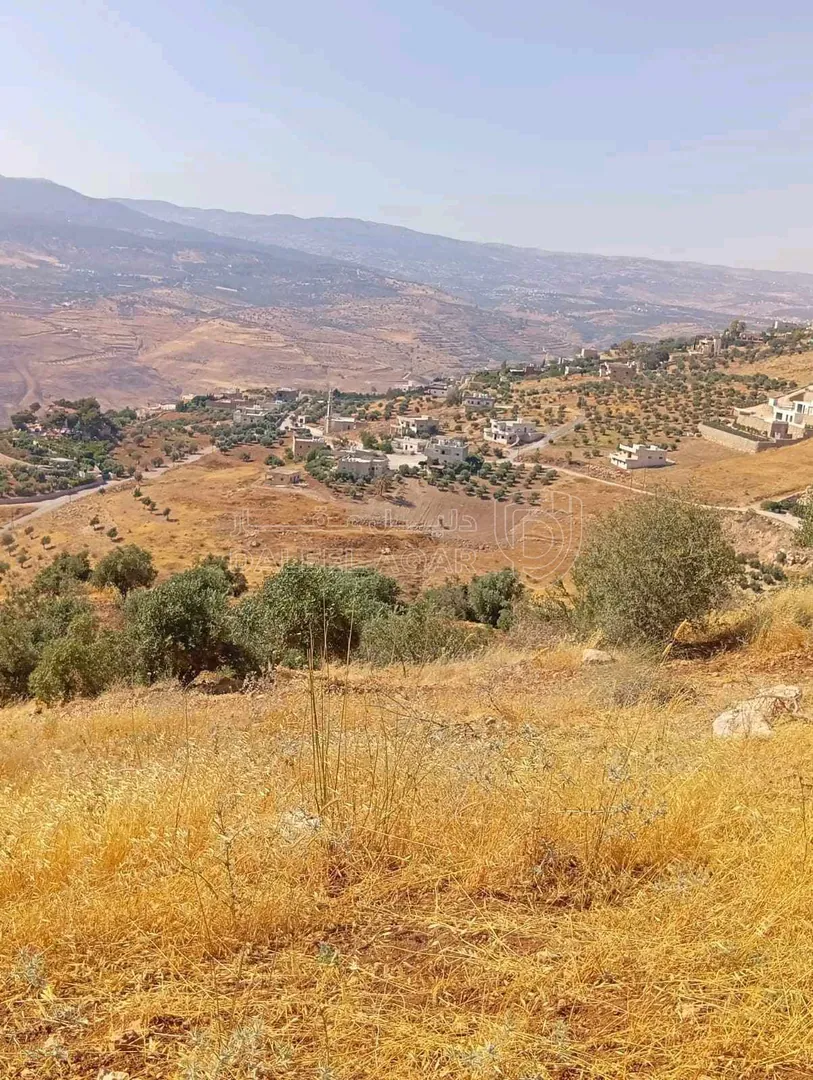 أرض في جرش المصطبة - 180,285 دأ - صورة 6