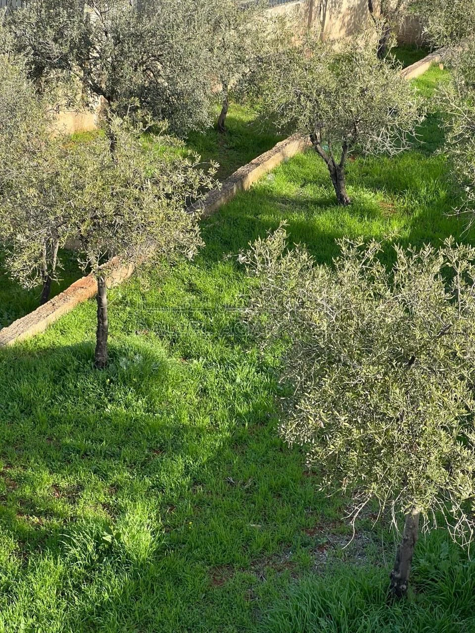 أرض في للبيع أرض مميزة في أجمل مناطق جرش - 130,000 دأ - صورة 17