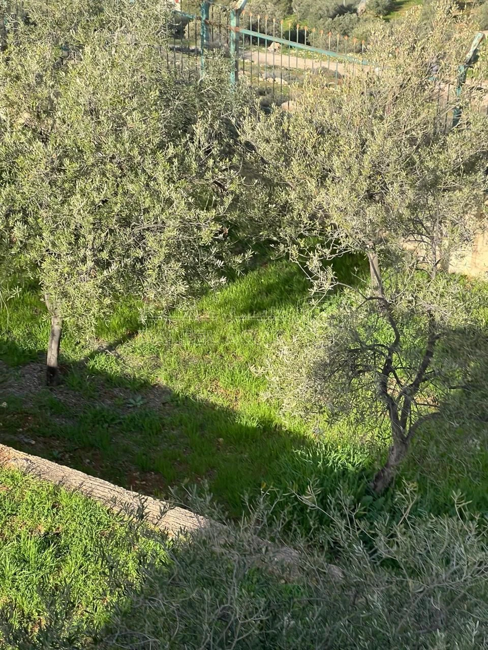 أرض في للبيع أرض مميزة في أجمل مناطق جرش - 130,000 دأ - صورة 20