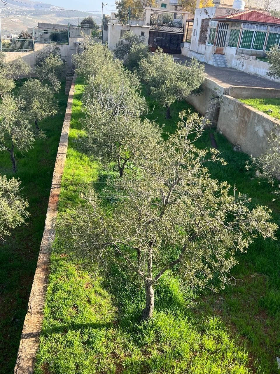 أرض في للبيع أرض مميزة في أجمل مناطق جرش - 130,000 دأ - صورة 16