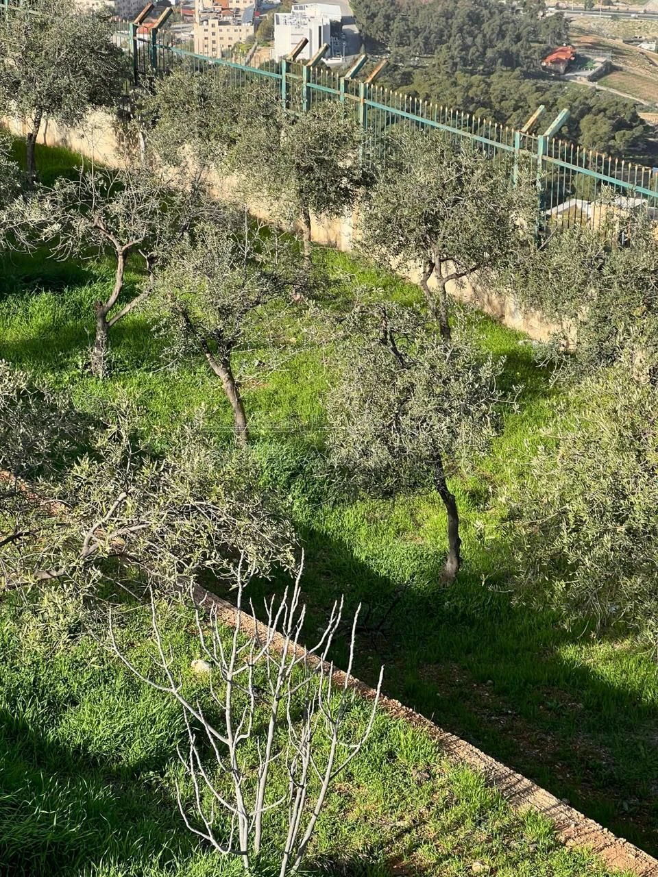 أرض في للبيع أرض مميزة في أجمل مناطق جرش - 130,000 دأ - صورة 23