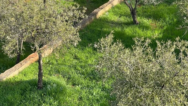 أرض في للبيع أرض مميزة في أجمل مناطق جرش - 130,000 دأ - صورة NaN