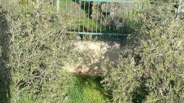 أرض في للبيع أرض مميزة في أجمل مناطق جرش - 130,000 دأ - صورة NaN