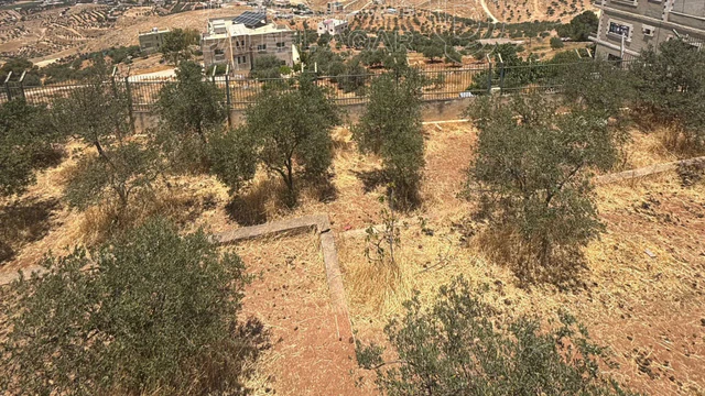 أرض في للبيع أرض مميزة في أجمل مناطق جرش - 130,000 دأ - صورة NaN