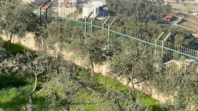 أرض في للبيع أرض مميزة في أجمل مناطق جرش - 130,000 دأ - صورة NaN