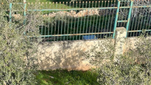 أرض في للبيع أرض مميزة في أجمل مناطق جرش - 130,000 دأ - صورة NaN