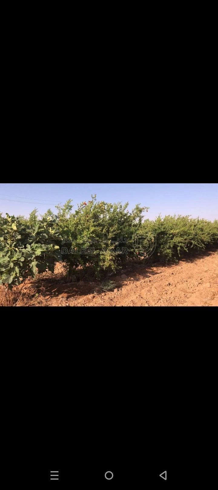 فيلا/منزل في #ثلاث  #فلل#للبيع في #الاردن #المفرق  #مزرعه نموذج - 1,300,000 دأ - صورة 4