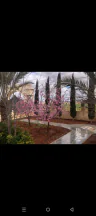 فيلا/منزل في #ثلاث  #فلل#للبيع في #الاردن #المفرق  #مزرعه نموذج - 1,300,000 دأ - صورة NaN