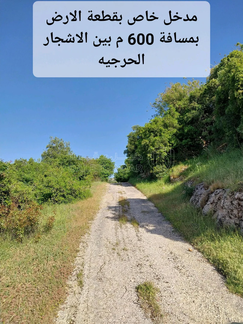 أرض في السلط - دعم الغزالات - عرقوب سلعوف - 250,000 دأ - صورة 1